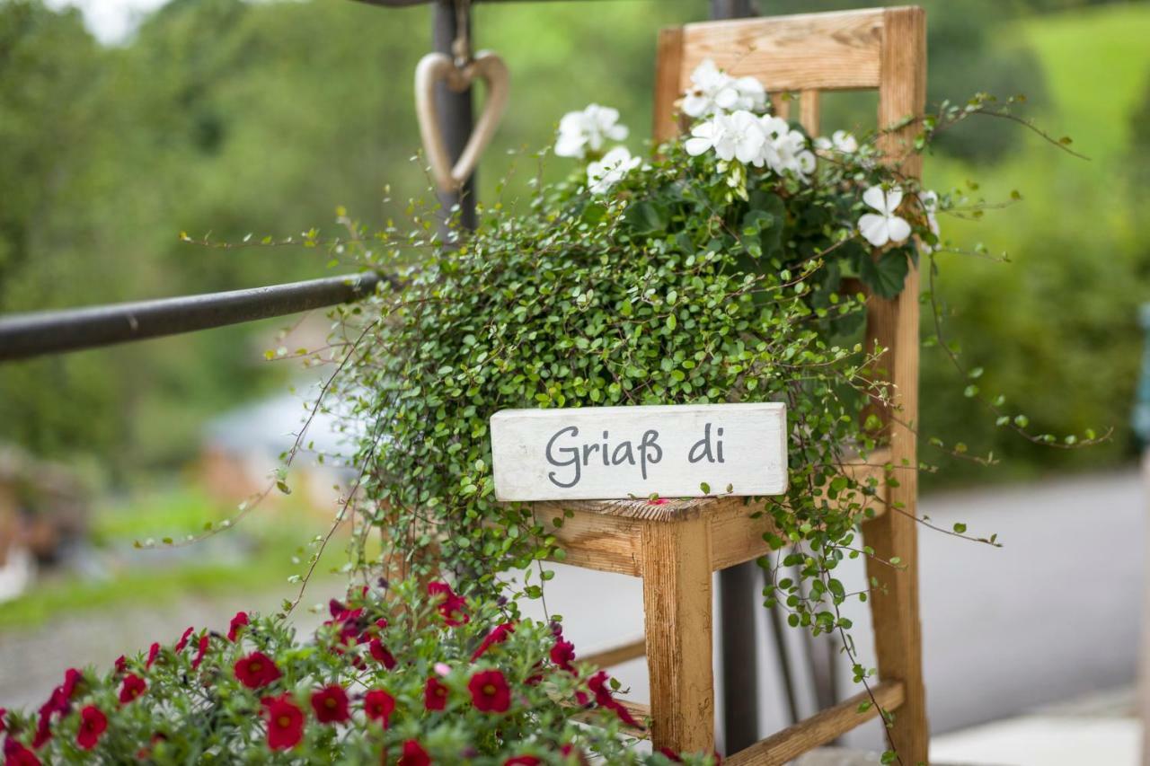 Ferienwohnung Lehenhof Hopfgarten im Brixental Eksteriør billede